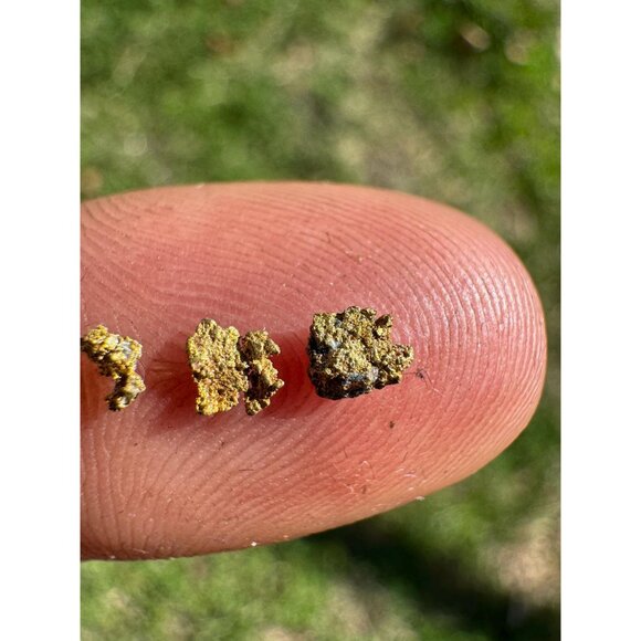 Small Arizona Gold Nuggets in Display Case - 0.15 grams - Picture 3 of 8